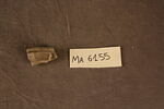 fragment, image 2/2