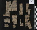 papyrus, image 1/2