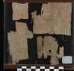 papyrus, image 2/2