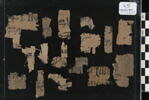 papyrus, image 1/2