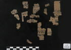 papyrus, image 1/2