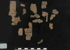 papyrus, image 2/2