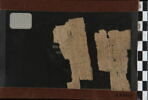 papyrus, image 2/2