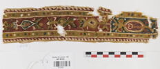 clavus ; fragment, image 1/2