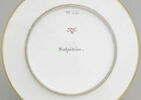Assiette du Service Encyclopédique n° 44. Salpêtrier, image 4/4