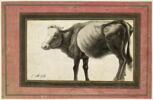 Vache (page d'album), image 1/3