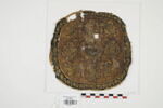orbiculus ; fragment, image 1/2