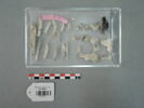 os, image 1/9