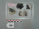 os, image 5/9