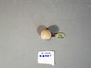 cachet ; perle, image 9/17