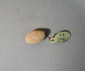 cachet ; perle, image 16/17