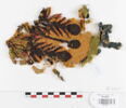 tenture ; fragment, image 1/2