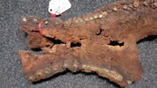 semelle de chaussure, image 3/3