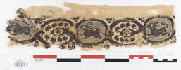 clavus ; fragment, image 1/2