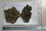 objet indéterminé, image 1/2