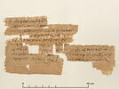 papyrus documentaire, image 1/2