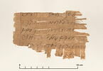 papyrus documentaire, image 2/2