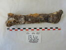 penture, image 1/2