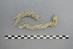 objet indéterminé, fragment, image 1/2