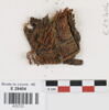 bande décorative d'habillement ; fragments, image 1/2