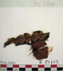 décor de textile ; fragment, image 2/2