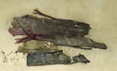 bande décorative d'habillement ; fragment, image 2/2