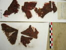 bande d'encolure ; fragments, image 3/4