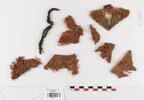 bande d'encolure ; fragments, image 1/4