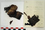 bande décorative d'habillement ; fragments, image 2/2