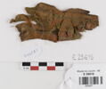 décor de textile ; fragment, image 1/2
