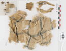 tissu ; fragments ; fragments, image 1/2