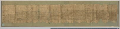 papyrus documentaire, image 1/3
