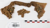 bande décorative d'habillement ; fragments, image 1/2