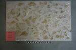 verre creux, fragment, image 7/23