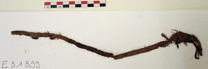 bande décorative d'habillement ; fragment, image 2/2