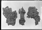 papyrus documentaire, image 5/5