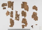 papyrus documentaire, image 4/5