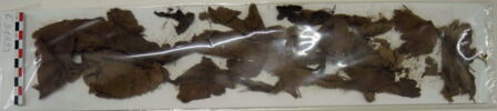 décor de textile, image 2/2