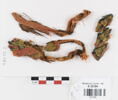 décor de textile ; fragments, image 1/2