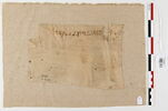 linceul, image 1/2