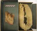 manche d'habit ; bande de poignet ; fragment, image 2/3