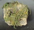 pelote, image 3/4