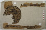 orbiculus ; clavus ; fragments, image 2/2