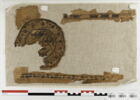 orbiculus ; clavus ; fragments, image 1/2