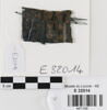 bande décorative d'habillement ; fragment, image 1/2