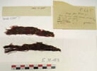 bande décorative d'habillement ; fragments, image 2/2