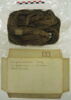 écheveau ; fragments, image 4/5