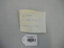 outil, image 2/6