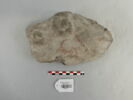 chapiteau, image 1/7