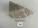 chapiteau, image 1/7